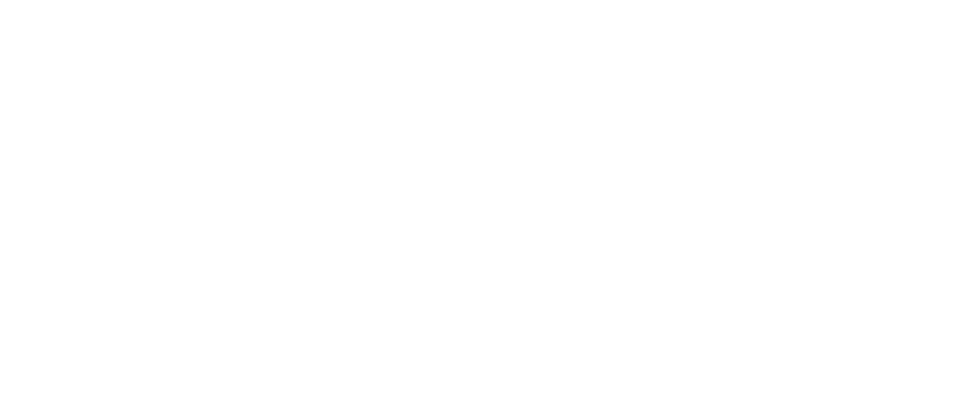 Logo-ACE-sans